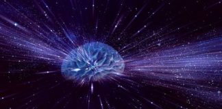 Universe is like a massive human brain new research finds Universe is like a massive human brain new research finds