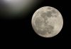 Canadian astronaut will fly around the moon, Report