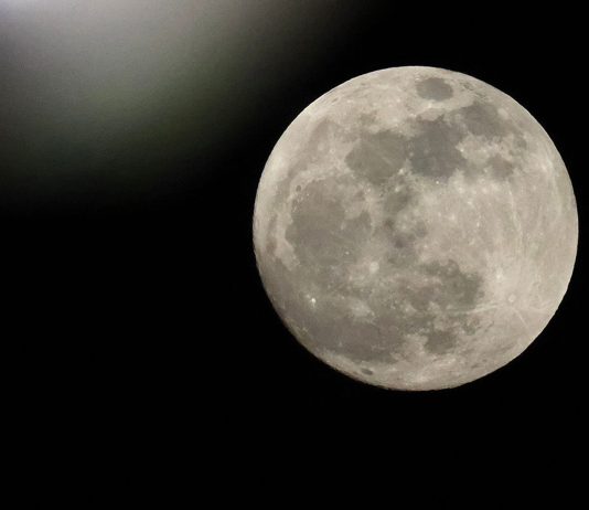 Canadian astronaut will fly around the moon, Report Canadian astronaut will fly around the moon, Report