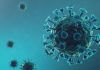 Coronavirus: B.C. adds 357 cases of COVID-19, lowest single-day total since February