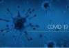 Coronavirus Canada Updates: Ontario reports 296 COVID-19 cases, 60 deaths today