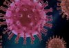 Coronavirus Canada Updates: Ontario reports fewer than 1,900 COVID-19 cases, 27 more deaths today