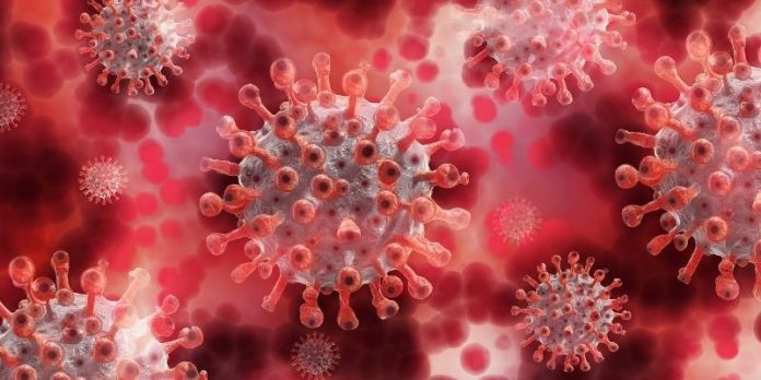 Coronavirus Canada Updates: Manitoba announced five new deaths due to COVID, four linked to variants