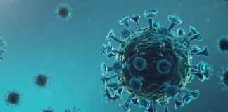Coronavirus Canada Updates: 69 new COVID-19 cases, 5 deaths reported in Manitoba