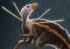 Fancy chicken-sized dinosaur sported a furry mane and shoulder ribbons (Study)