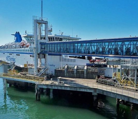 Man in critical condition after vehicle falls at Tsawwassen Ferry Terminal, Report