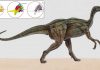 Study reveals unexpected insights into early dinosaur’s brain, eating habits and agility