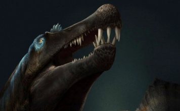 Study: Prehistoric ‘sea dragon’ unearthed on British beach Study: Prehistoric 'sea dragon' unearthed on British beach