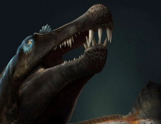 Study: Prehistoric ‘sea dragon’ unearthed on British beach Study: Prehistoric 'sea dragon' unearthed on British beach