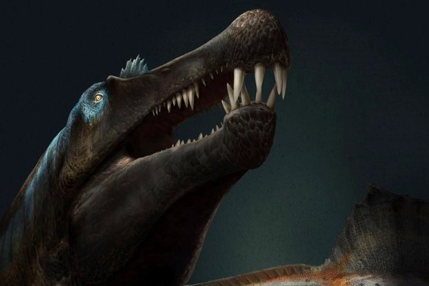 Study: Prehistoric 'sea dragon' unearthed on British beach