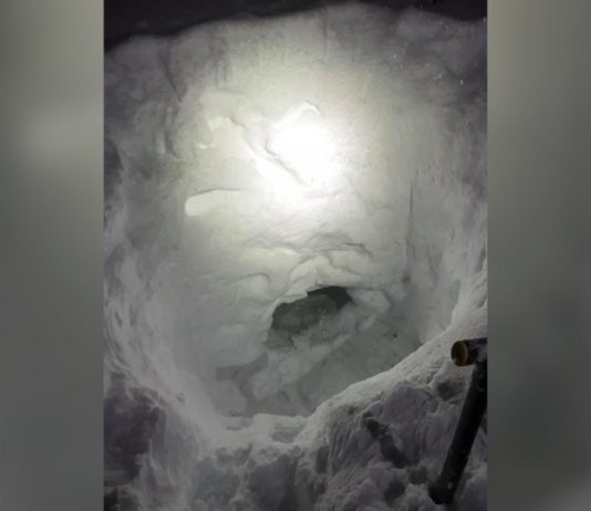 Canada: Teen snowmobiler builds snow cave to wait for rescue Canada: Teen snowmobiler builds snow cave to wait for rescue