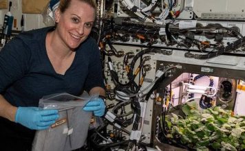 ISS Astronauts Eat First Radishes Grown in Space on New Year’s Eve (Photo) ISS Astronauts Eat First Radishes Grown in Space on New Year's Eve
