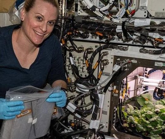 ISS Astronauts Eat First Radishes Grown in Space on New Year’s Eve (Photo) ISS Astronauts Eat First Radishes Grown in Space on New Year's Eve