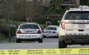Man with gang ties is victim of targeted shooting in Surrey, B.C., Report Man with gang ties is victim of targeted shooting in Surrey, B.C., Report