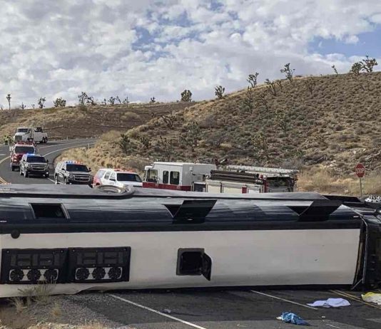 One dead in Grand Canyon tour bus crash, Report One dead in Grand Canyon tour bus crash, Report