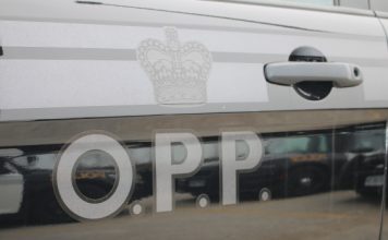 Ontario mom fined $880 under stay-at-home order for leaving children with grandparents Ontario mom fined $880 under stay-at-home order for leaving children with grandparents