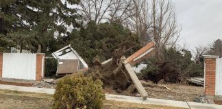 Peak wind gust hits 145 km/h in southern Alberta, 9 all-time records set, Report Peak wind gust hits 145 km/h in southern Alberta, 9 all-time records set, Report