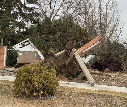 Peak wind gust hits 145 km/h in southern Alberta, 9 all-time records set, Report Peak wind gust hits 145 km/h in southern Alberta, 9 all-time records set, Report