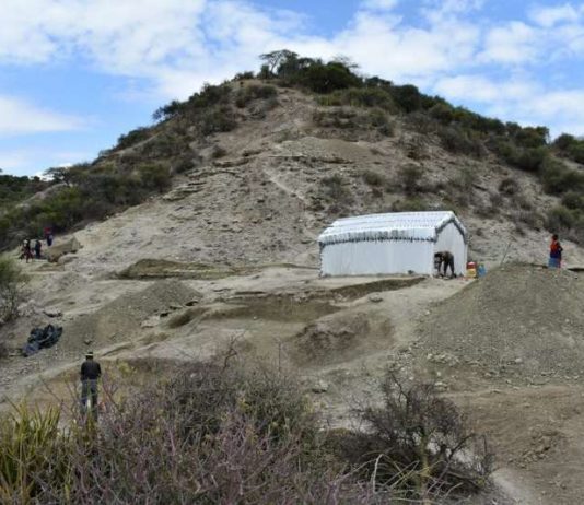 Researchers findings in Tanzania show how ancient humans used tools two million years ago Researchers findings in Tanzania show how ancient humans used tools two million years ago