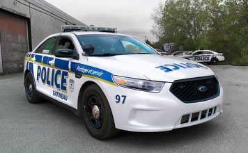 Man dead after being struck in Walmart parking lot, Report Man dead after being struck in Walmart parking lot, Report