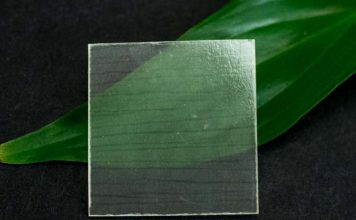 Researchers develop transparent wood that is stronger and lighter than glass Researchers develop transparent wood that is stronger and lighter than glass