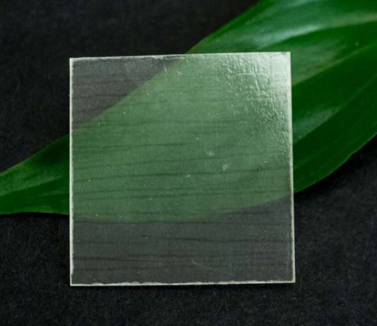Researchers develop transparent wood that is stronger and lighter than glass Researchers develop transparent wood that is stronger and lighter than glass