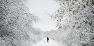 Snow, potentially damaging winds to replace spring-like feel in Ontario, Report Snow, potentially damaging winds to replace spring-like feel in Ontario, Report