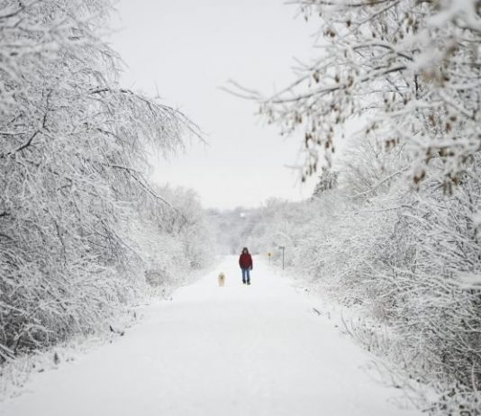 Snow, potentially damaging winds to replace spring-like feel in Ontario, Report Snow, potentially damaging winds to replace spring-like feel in Ontario, Report
