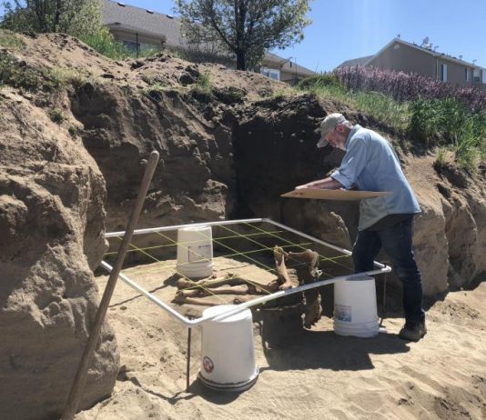 Study: ‘Ice age’ horse skeleton found in Utah backyard isn’t what we thought Study: 'Ice age' horse skeleton found in Utah backyard isn't what we thought