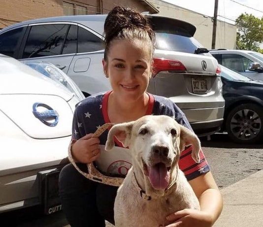 Woman adopted senior shelter dog to give her happiness in final years (Video) Woman adopted senior shelter dog to give her happiness in final years (Video)