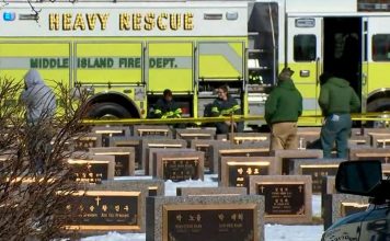 Cemetery worker dies after being buried alive in open grave, Report Cemetery worker dies after being buried alive in open grave, Report