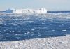 Changes in Antarctic marine ecosystems, says new research