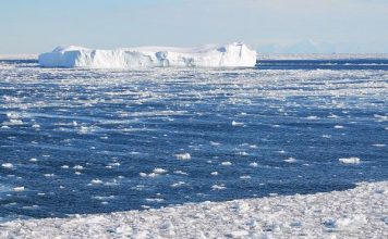Changes in Antarctic marine ecosystems, says new research Changes in Antarctic marine ecosystems, says new research