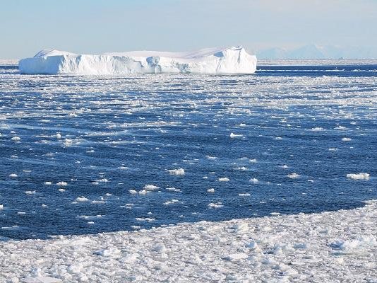 Changes in Antarctic marine ecosystems, says new research Changes in Antarctic marine ecosystems, says new research
