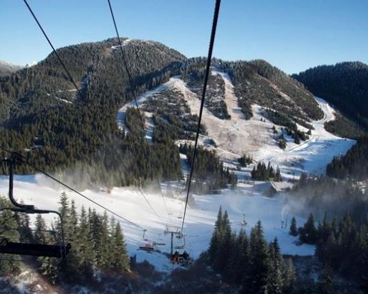 North Shore Rescue find missing men in gully near Cypress, Report North Shore Rescue find missing men in gully near Cypress, Report