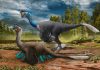 Researchers find rare fossil of dinosaur sitting on eggs with embryos inside