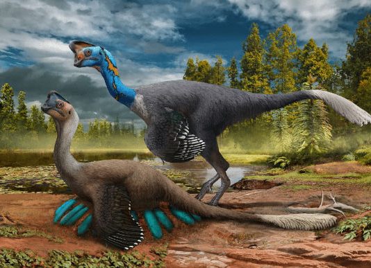 Researchers find rare fossil of dinosaur sitting on eggs with embryos inside Researchers find rare fossil of dinosaur sitting on eggs with embryos inside
