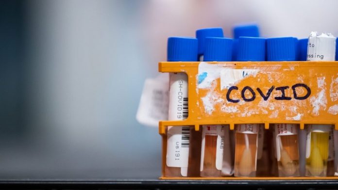 Coronavirus: Nova Scotia confirms more than 1,100 new COVID-19 cases