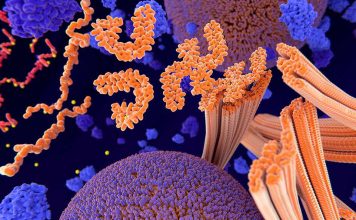 Leaking calcium in neurons an early sign of Alzheimer’s pathology, says new research Leaking calcium in neurons an early sign of Alzheimer’s pathology, says new research