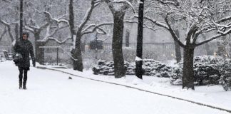 Weather: Up to 40 cm of snow forecasted south of Calgary as snowfall warning issued Weather: Up to 40 cm of snow forecasted south of Calgary as snowfall warning issued