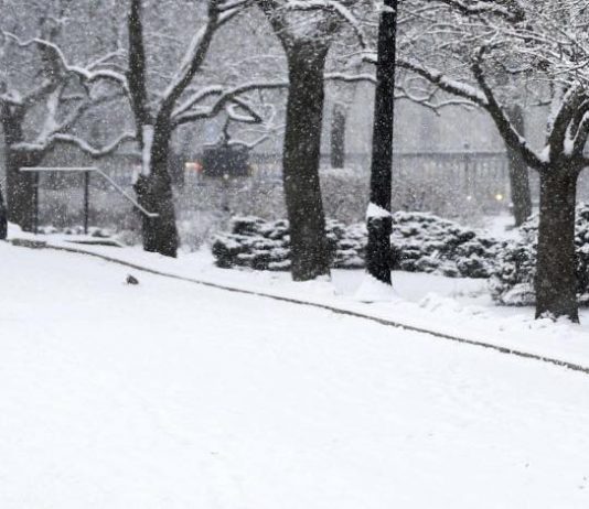 Weather: Up to 40 cm of snow forecasted south of Calgary as snowfall warning issued Weather: Up to 40 cm of snow forecasted south of Calgary as snowfall warning issued