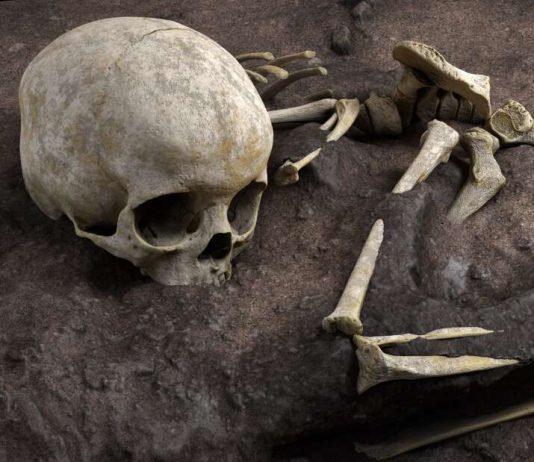 Archaeologists find Africa’s oldest human burial, a child from 78,000 years ago Archaeologists find Africa's oldest human burial, a child from 78,000 years ago