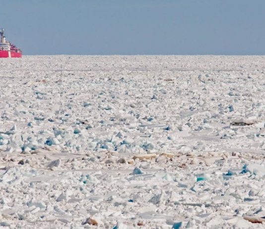 Government to reveal plans for building long-overdue heavy icebreaker, Report Government to reveal plans for building long-overdue heavy icebreaker, Report
