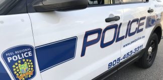 Police: 23-year-old pedestrian dead after being struck by SUV Police: 23-year-old pedestrian dead after being struck by SUV