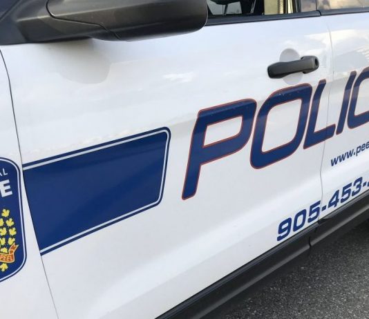 Police: 23-year-old pedestrian dead after being struck by SUV Police: 23-year-old pedestrian dead after being struck by SUV