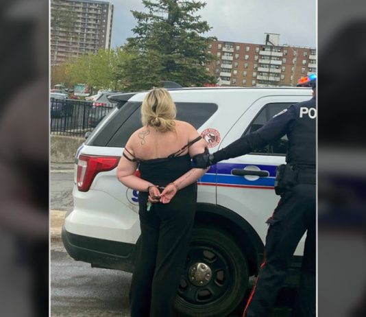 Police: Woman accused of using bear spray to abduct Ottawa newborn on Mother’s Day Police: Woman accused of using bear spray to abduct Ottawa newborn on Mother's Day