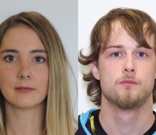 RCMP appeal to public for information after reported abduction, Report RCMP appeal to public for information after reported abduction, Report