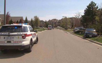 Two children critically injured in single vehicle crash in Vaughan Two children critically injured in single vehicle crash in Vaughan