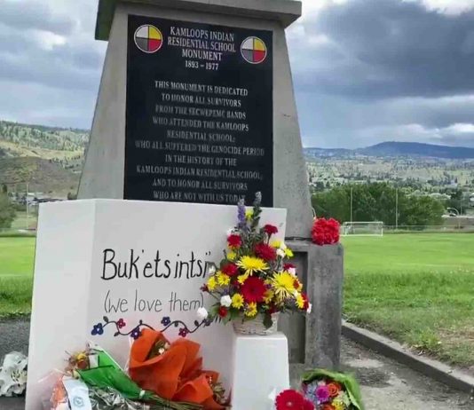 ‘Delicate, sensitive process:’ Expert talks on searching for burial sites with radar, Report 'Delicate, sensitive process:' Expert talks on searching for burial sites with radar, Report