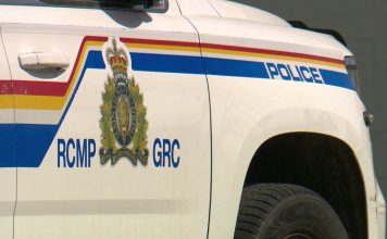 Man killed in officer-involved shooting in eastern Alberta, police dog injured Man killed in officer-involved shooting in eastern Alberta, police dog injured